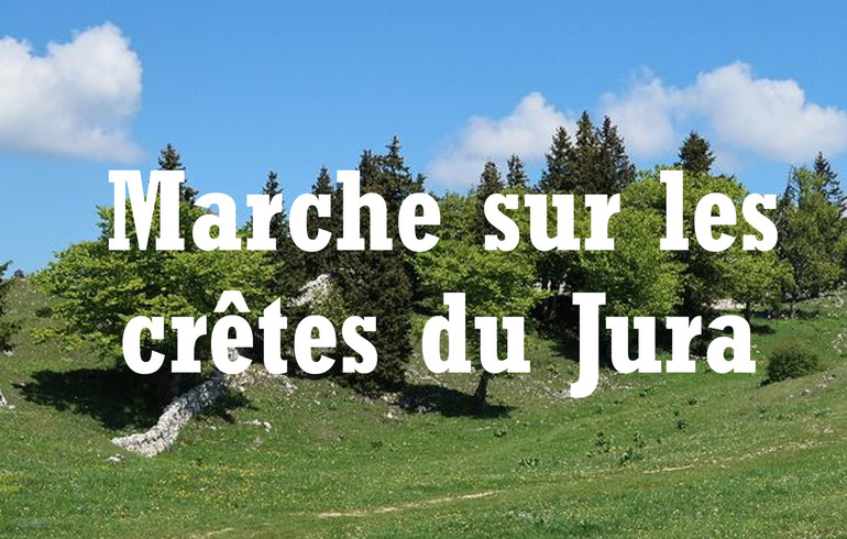 Marche sur les crêtes du Jura