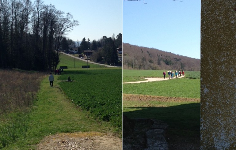 Marche entre St-Imier et St-Fromont 30 mars 2019