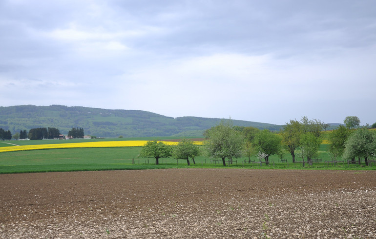 Marche et prière en Haute Ajoie