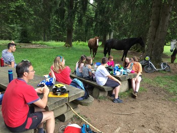 Repas pris au milieu d'un pâturage à Chevaux