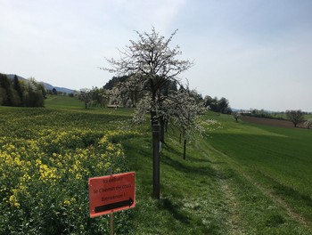 Un panneau indique le début du parcours