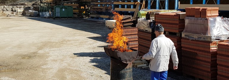 Récolte de buis par les servants