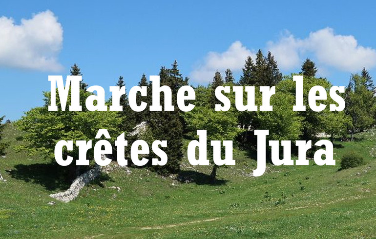 Cet été: Marche sur les crêtes du Jura