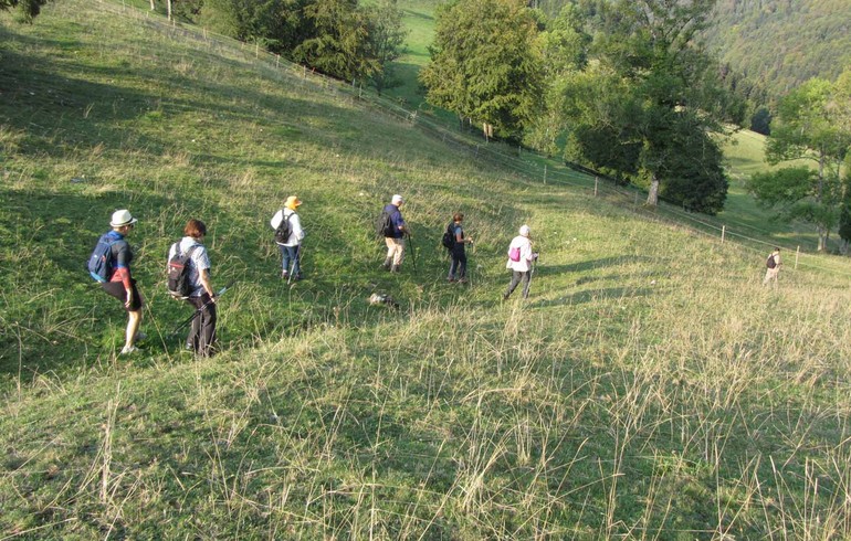 Sur les traces d'Ursanne