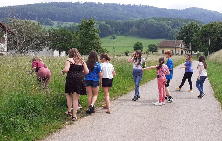 Temps de catéchèse sur la Création à St-Ursanne